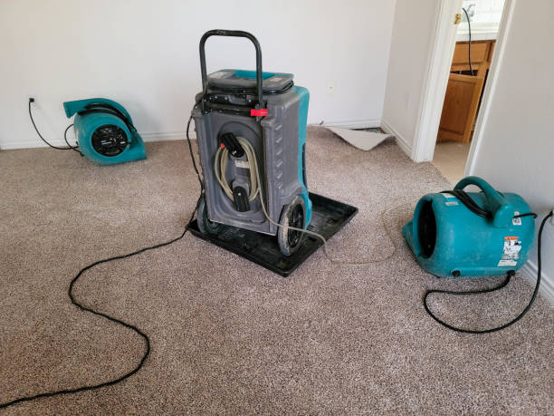 Best Flood damage cleanup  in Franklin Square, NY