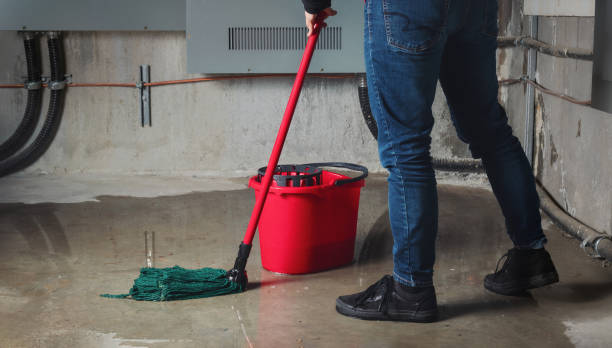 Best Flood damage cleanup  in Franklin Square, NY