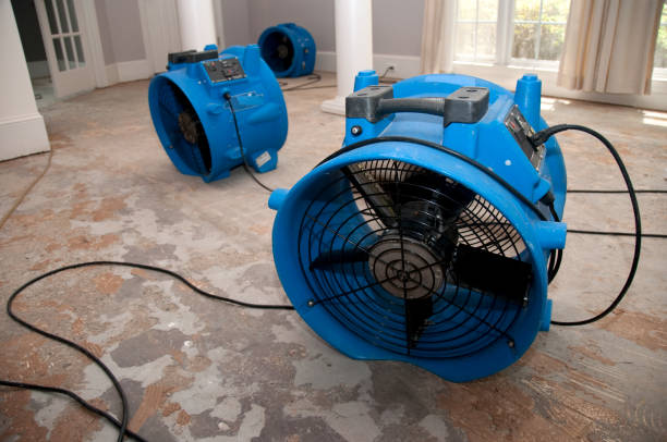 Best Water damage restoration near me  in Franklin Square, NY
