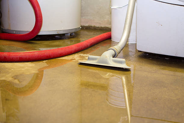 Best Basement water damage restoration  in Franklin Square, NY