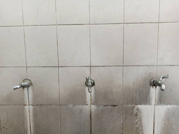 Best Commercial water damage restoration  in Franklin Square, NY