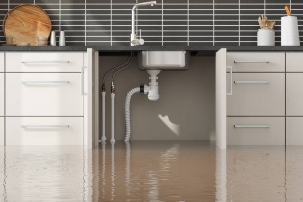Best Sewage cleanup and water damage restoration  in Franklin Square, NY