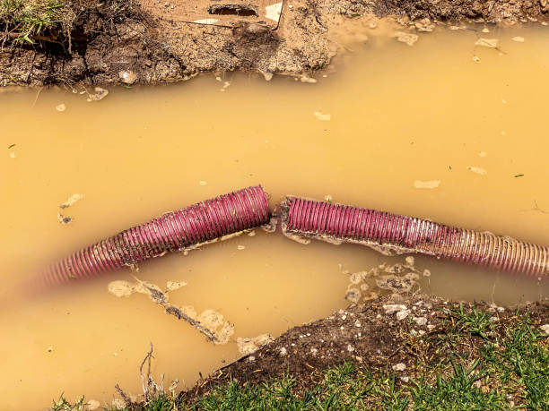 Best Water damage restoration near me  in Franklin Square, NY