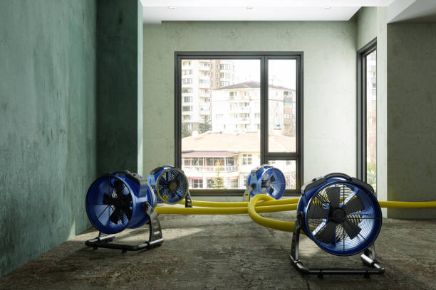 Best Local water damage restoration  in Franklin Square, NY