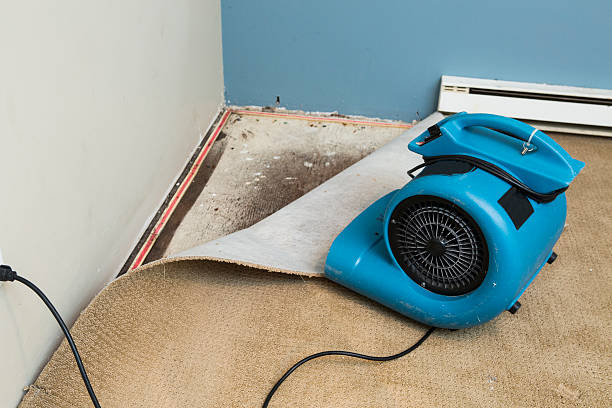 Best Commercial water damage restoration  in Franklin Square, NY